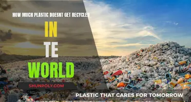 Global Plastic Waste Crisis: The Recycling Gap