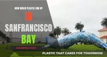 San Francisco Bay: A Plastic Pollution Haven?