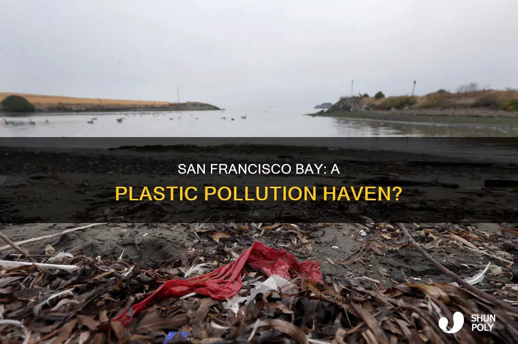 how much plastic end up in sanfrancisco bay