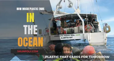 The Ocean's Plastic Crisis: Understanding the Devastating Impact