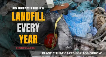 The Startling Truth About Plastic Waste in Landfills