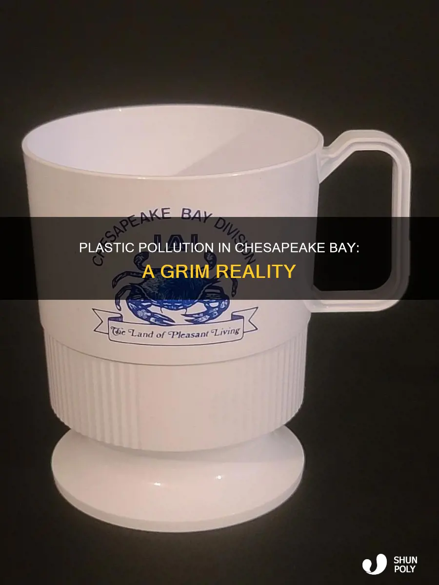 how much plastic ends up in the chesapeake bay