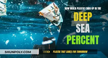 The Deep Sea's Plastic Pollution Crisis