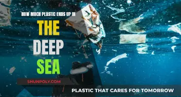 The Deep Sea's Plastic Problem: An Ominous Reality