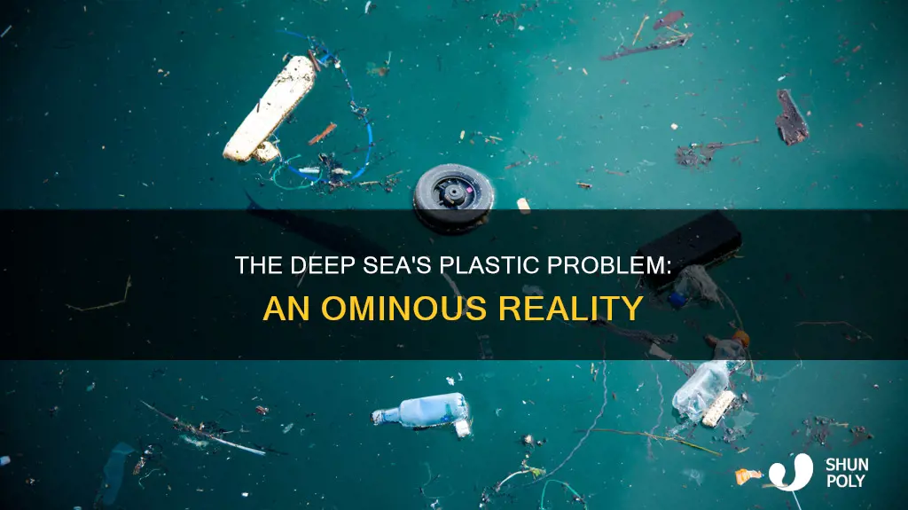 how much plastic ends up in the deep sea