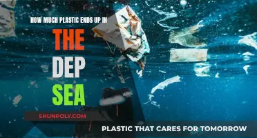 The Deep Sea's Plastic Problem: An Ominous Reality