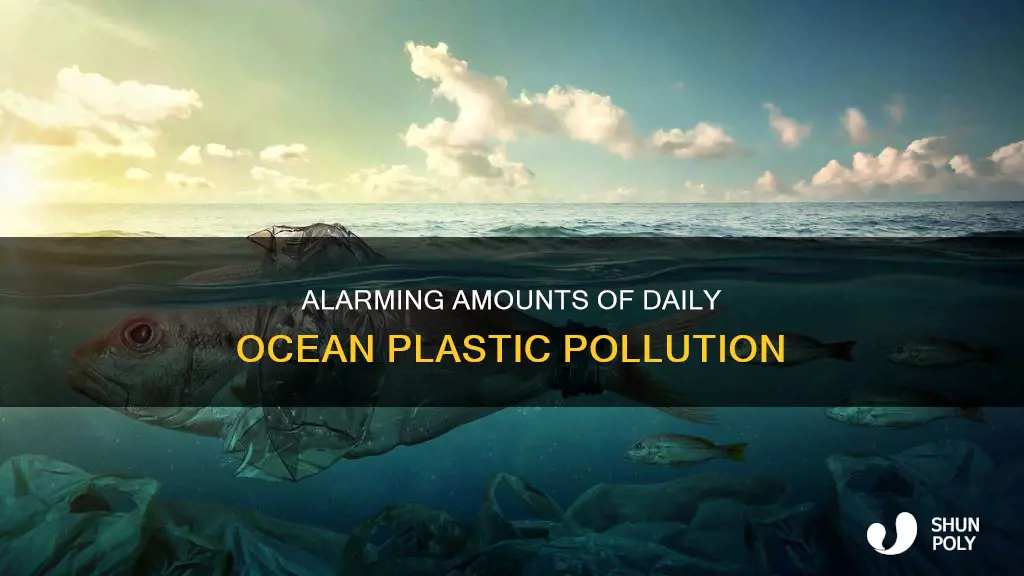 how much plastic ends up in the ocean each day