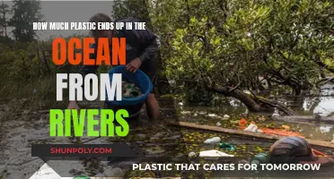 Plastic Pollution: Rivers to Oceans