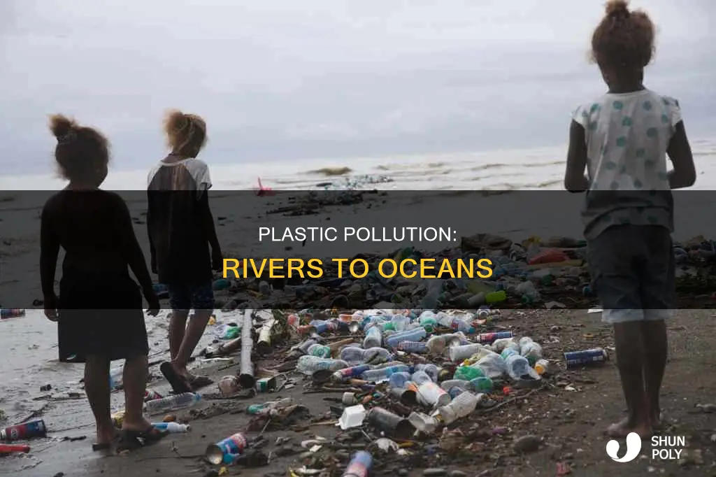 how much plastic ends up in the ocean from rivers