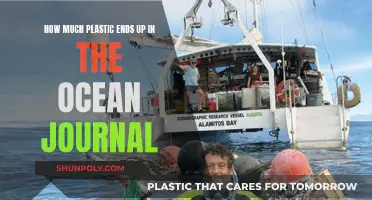 The Ocean's Plastic Problem: Journaling Our Impact