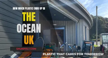 UK's Ocean Pollution Crisis: Plastic's Damaging Impact