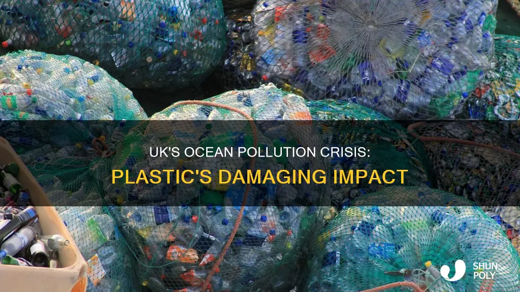 how much plastic ends up in the ocean uk