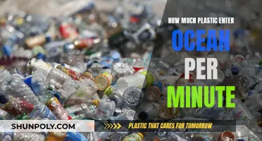 The Ocean's Plastic Crisis: Every Minute Matters