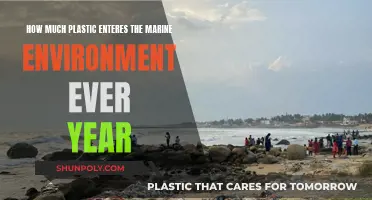 The Ocean's Plastic Problem: An Annual Tragedy