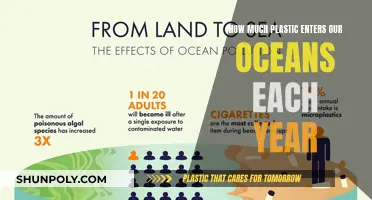 Alarming Amounts of Plastic Polluting Our Oceans Annually