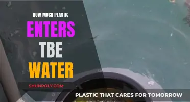 The Water's Plastic Problem: An Ominous Overview