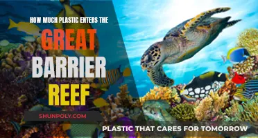 Plastic Pollution in the Great Barrier Reef: A Crisis