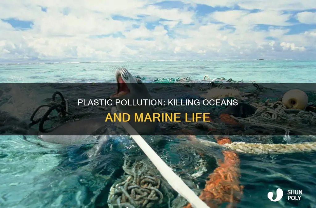 how much plastic enters the oceaans and kill animals