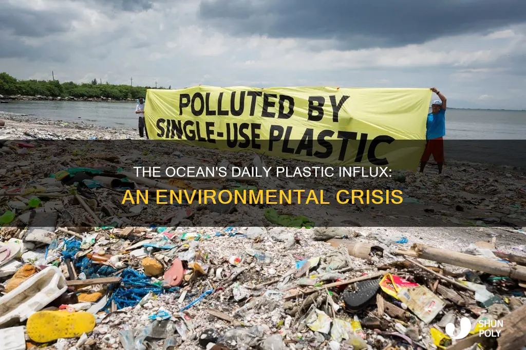 how much plastic enters the ocean every day