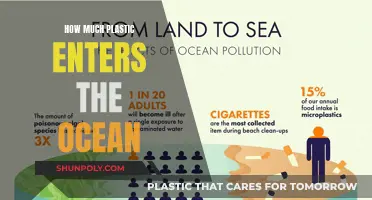 The Ocean's Plastic Crisis: An Ominous Flow