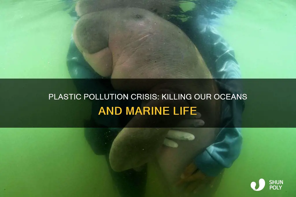 how much plastic enters the oceans and kill animals