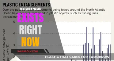 The Plastic Crisis: Current State of Plastic Pollution