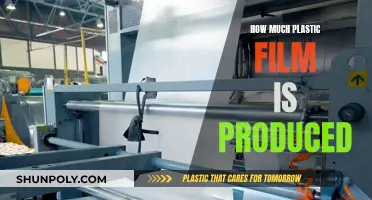 The Plastic Film Production Problem: How Much is Too Much?