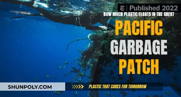 The Great Pacific Garbage Patch: A Plastic Soup