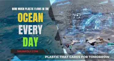 The Ocean's Plastic Problem: A Daily Disaster