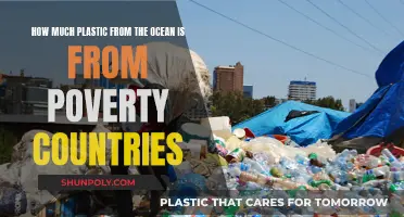 Impoverished Nations: Ocean Plastic Pollution's Unseen Culprits?