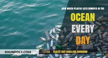 Daily Ocean Plastic Dump: A Shocking Environmental Crisis Unveiled
