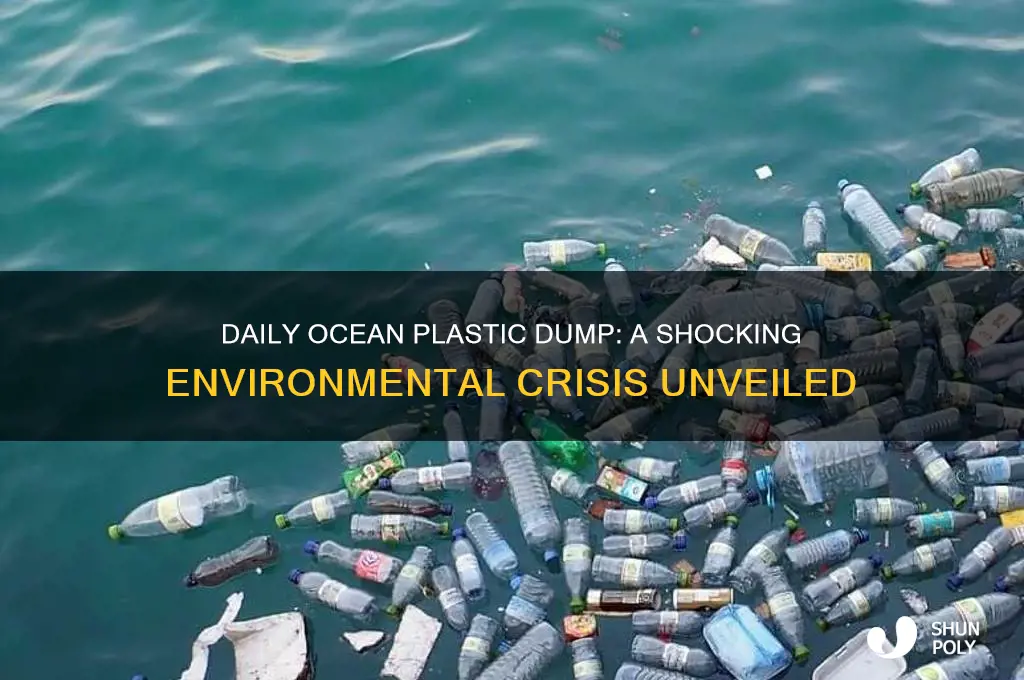 how much plastic gets dumped in the ocean every day