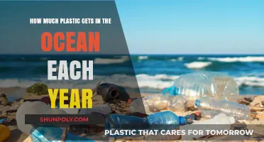 Alarming Annual Plastic Ocean Influx: Understanding the Environmental Crisis