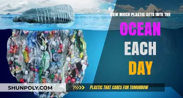 Daily Plastic Ocean Influx: Shocking Amounts and Environmental Impact