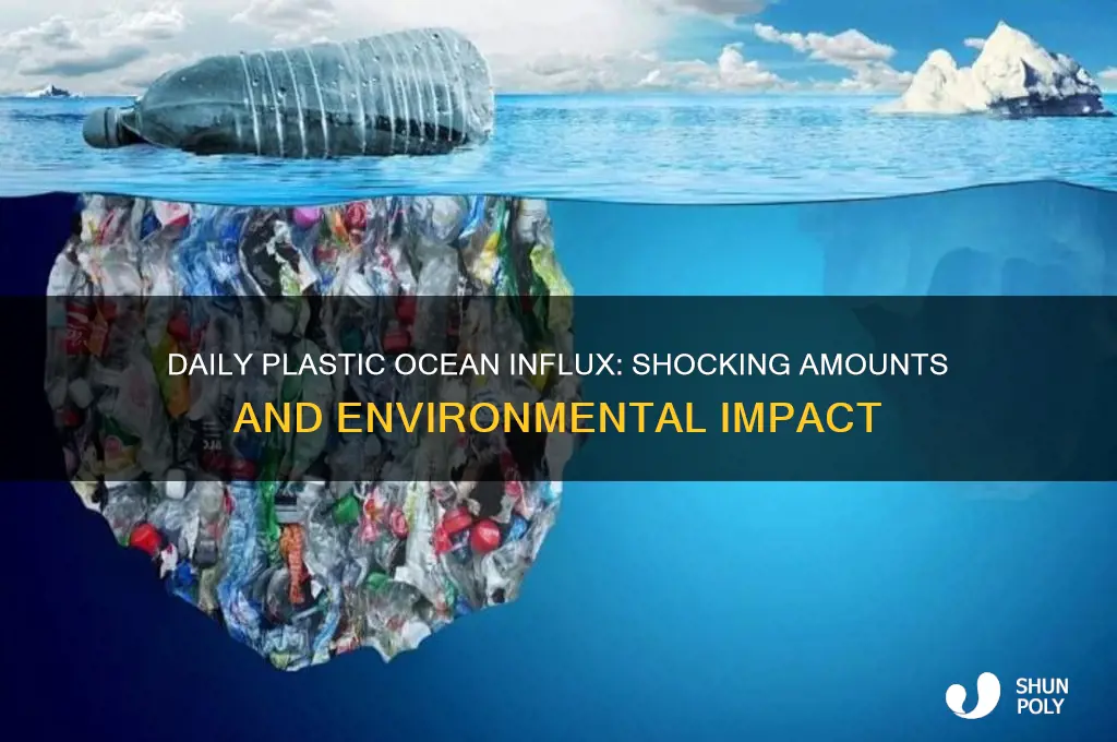 how much plastic gets into the ocean each day