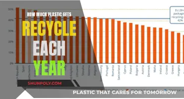 Global Plastic Recycling: The Annual Impact and Future Steps