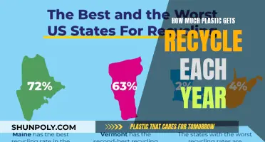 The Plastic Recycling Mystery: How Much Gets Recycled?