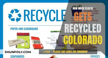 Colorado's Plastic Recycling Efforts: How Effective Are They?