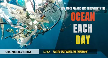 The Ocean's Daily Plastic Intake: A Global Crisis