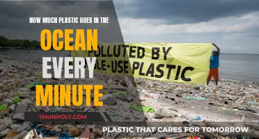 The Ocean's Plastic Crisis: Every Minute Matters