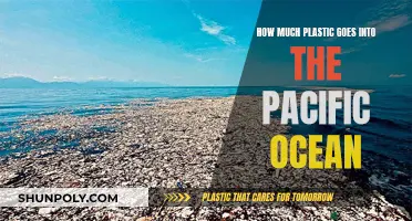 Pacific Ocean: A Plastic Pollution Crisis