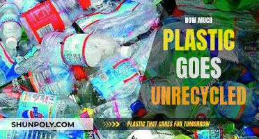 The Plastic Crisis: Unrecycled Waste's Impact