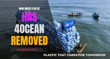 4Ocean's Impact: Removing Plastic from Our Oceans