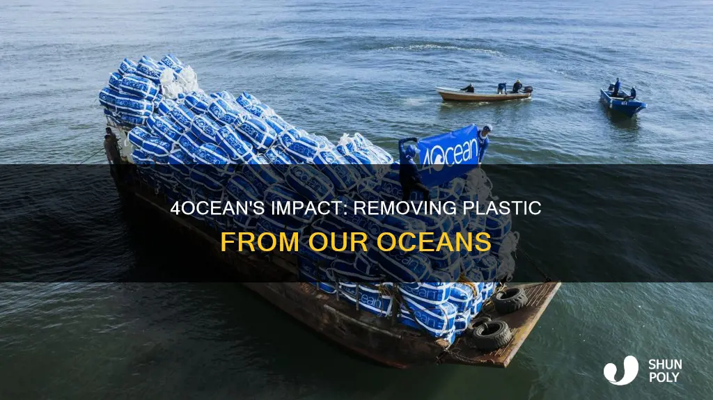 how much plastic has 4ocean removed