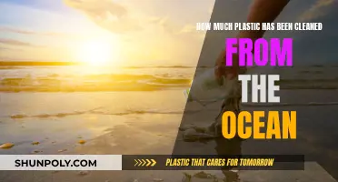 The Ocean Cleanup: How Much Plastic Removed?