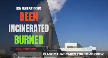 The Dark Side of Plastic: Incineration and its Impact