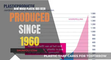 The Plastic Problem: 1960s to Now