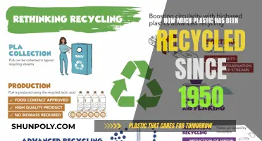 The Evolution of Plastic Recycling: 1950 to Present