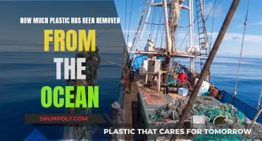 The Ocean Cleanup: How Much Plastic Removed?