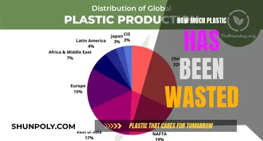 The Plastic Waste Crisis: A Global Disaster